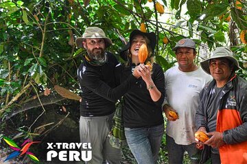 A Journey of Coffee, Tea and Chocolate Flavors in the Landscape of Cusco 