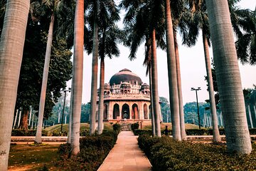 Lodhi Garden Delhi: A Self Guided Walking Tour