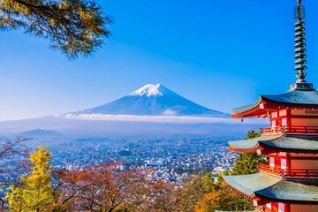 Mount Fuji Full Day Customizable Private Tour with English Guide