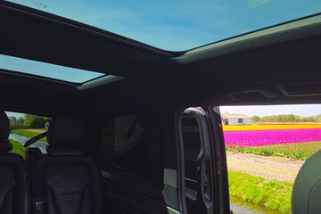 Private Minivan Tour to Keukenhof