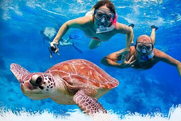 Mirissa Unforgettable Snorkeling Experience with Turtles
