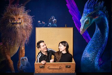  Krakow: Harry Potter Exhibition - Ticket and Transportation