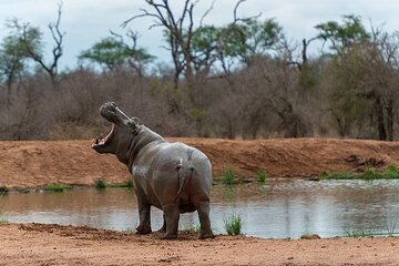 Cultural Swaziland, Mlilwane Wildlife and Hlane Park 3 Days Tour