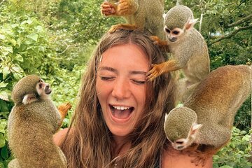 The Land of Monkeys in puerto plata - Monkey Jungle Tour