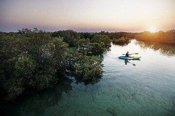 Al Thakira Mangrove Kayaking Adventure With Transfer