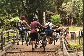 Ibirapuera Park Bike Tour 