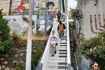 Valparaiso Private Tour with Wine Tasting from Santiago