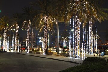 05 Hours Dubai Night City Tour