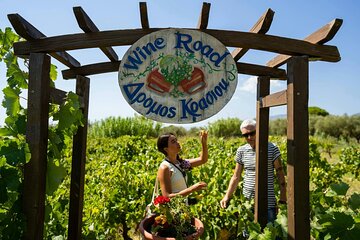 Zante Tour with Blue Caves Boat Trip and Wine Tasting