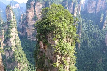 National Forest Park Avatar Mountain Day Tour