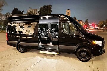 Honolulu by yourself by Executive Minibus - 4 hrs disposal