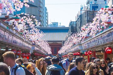 Private Asakusa tour to introduce you to some unusual places