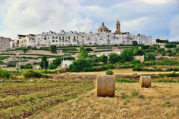 Alberobello & Locorotondo with Tasting from Bari (Private Tour)