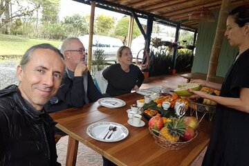 Fruit Tasting in Filandia 