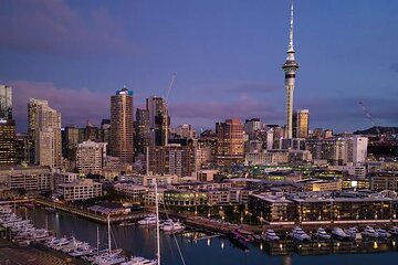 Private One-Way Transfer: Auckland Airport to Auckland City Hotel