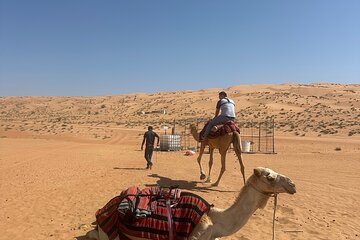Muscat Bidiya Desert Sunset Camel Ride with Transfer