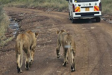 Nairobi National Park Giraffe Center and Carnivore Restaurant 