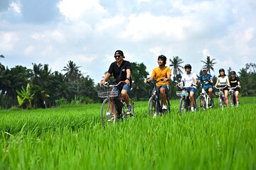Bali’s Hidden Rivers & Fields: Private E-Bike Village Tour