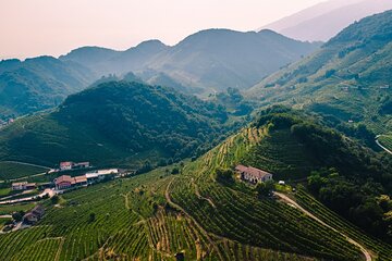 Luxury Prosecco Wine Tasting Full-Day Private Tour from Venice