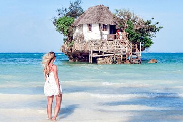 Jozani Forest & Rock Restaurant Adventure & Transfer - Zanzibar