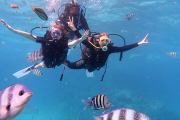 Scuba Diving Trip with transfer Hurghada Beginner to Advanced