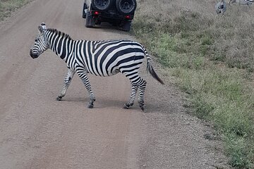 Nairobi National Park Giraffe Center and Carnivore Restaurant