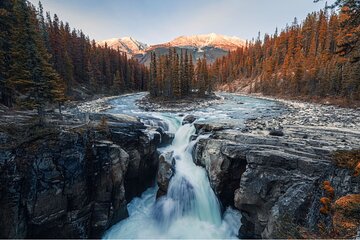 Athabasca Falls/Abraham,Sunwapta Falls,Icefield & Peyto Lake Tour