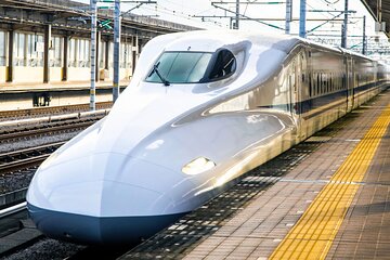 Kyoto Early Bird Tour Tokyo Round Trip Shinkansen Option
