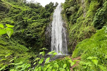 Materuni Waterfalls Hiking with Coffee Tour and Chemka Hotsprings