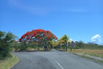 Private Tour in North Mauritius