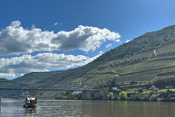 Douro Valley Vineyard Visits Wine Tasting Boat Ride and Lunch