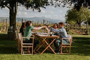 La Rioja A Journey Through Vineyards and Tradition 