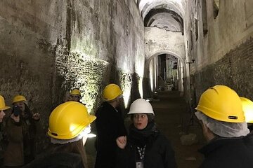 Domus Aurea Skip the Line Ticket Guided Tour