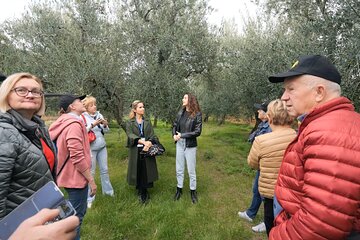Olive Tree Tour and Olive Oil Mill Visit and Tasting