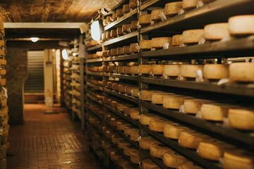 Cheese Experience: Tour & Tasting at Guffanti near Lake Maggiore