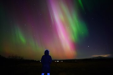 Northern Lights Guided Tour With Professional Photos