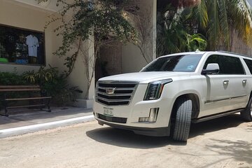 Private Vip and Minivan Punta Cana Round Trip Airport Transfer