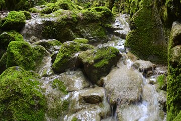 One Day Hiking Escape to Arcadia Forests and Rivers