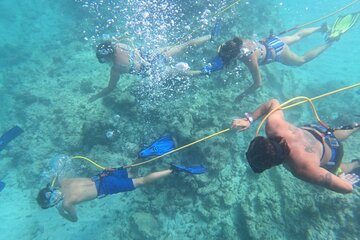 Catamaran Party and Hooka Diving Experience