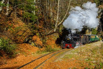 With the Steam Train Through Transylvania
