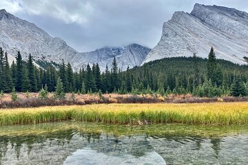 Hike the Head Waters: Elbow Lake & Rae Glacier Interpretive Hike