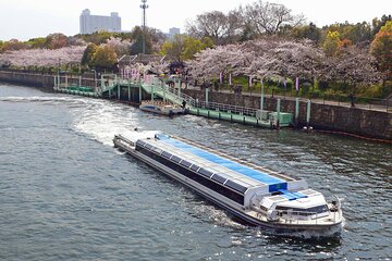 Cherry Blossoms Cruise and Osaka Castle Spring Tour 