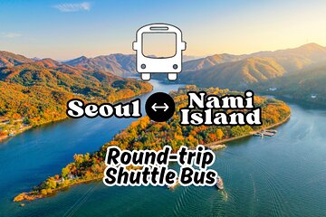 Seoul to/from Nami Island: Round trip Shuttle Bus Service