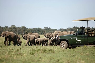 Four Day and Beyond Kichwa Tembo Luxury Safari