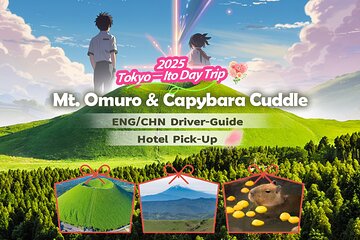 Tokyo-Izu: Volcano, Ocean& Capybara Cuddle with Izu Scenic Train