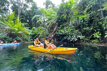 Kayaking Tour at Klong Root (Crystal Lake), Krabi