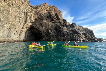 Turtle and Dolphin Watching Kayaking and Snorkeling Tour