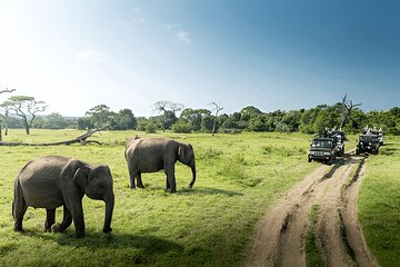 Private Tour from Weligama to Ella with Udawalawe Safari