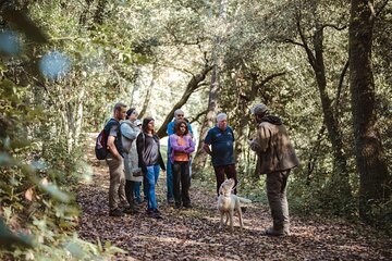 Truffle Finding with Pasta Lunch, Wine and a San Gimignano Walk