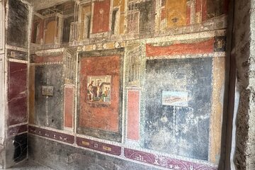 From Positano: Pompeii Guided Tour with Skip the Line 